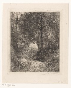 Forest View by Jean Alexis Achard
