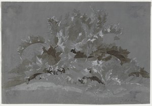 Study of Weeds by Jean Antoine Linck