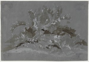 Study of Weeds by Jean Antoine Linck