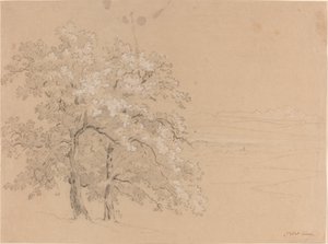Sunlit Trees Before a Panoramic Landscape