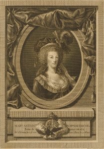 Marie Antoinette, Duchess of Austria