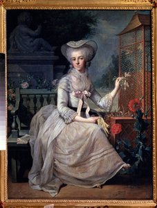 Young Lady at a Cage by Jean Baptiste Charpentier