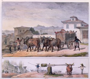 Transporting Meat and Taming an Ox by Jean Baptiste (after) Debret