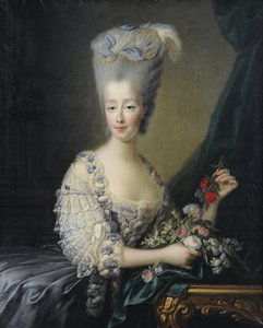 Princess Maria Theresa of Savoy, Countess of Artois