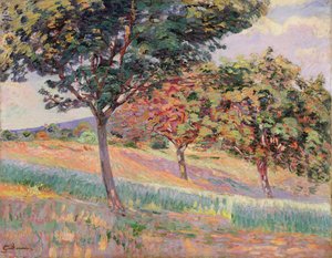 Orchard at St. Cheron, 1893