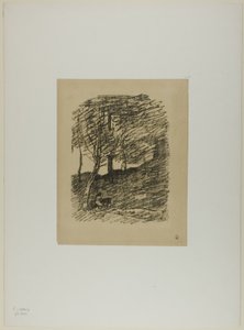 Beneath the Trees