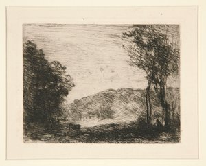 Wooded Countryside