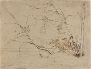 Clump of Trees at Civita Castellana by Jean Baptiste Camille Corot