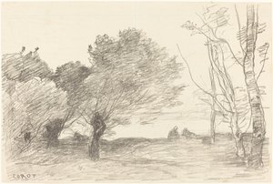 Willows and White Poplars by Jean Baptiste Camille Corot