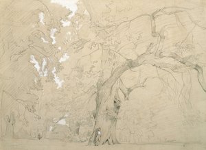 Young Man in Front of a Great Oak by Jean Baptiste Camille Corot