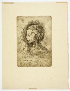 Female Head