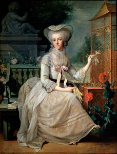 Young Lady at a Cage, 1784