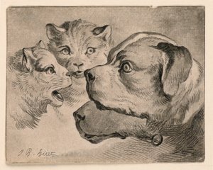 Heads of Cats and Dogs