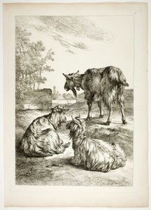 Plate Eighteen of 38 from Oeuvres de J. B. Huet