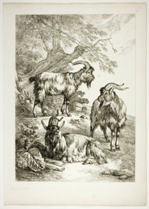 Plate Seventeen of 38 from Oeuvres de J. B. Huet by Jean Baptiste Huet