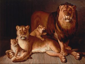 Pride of Lions