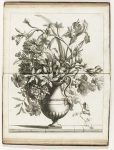 Flower Vase by Jean Baptiste Monnoyer