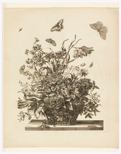 Plate 10, from set of Flowers in a Basket