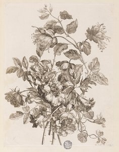Plate from 