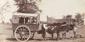 Campbell Twins in a Shigram, Governor General