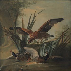 A Hawk Pouncing on a Pair of Ducks