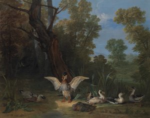 Ducks Resting in Sunshine, 1753