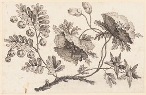 Flower Bough, from "Recueil de Fleurs Chinois" by Jean Baptiste Pillement