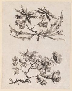 Flower Boughs from, "Recueil de Fleurs Chinois" by Jean Baptiste Pillement