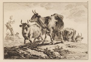 Plate 4, from "Notebook of Six Sheets of Oxen and Cows" by Jean Baptiste Pillement