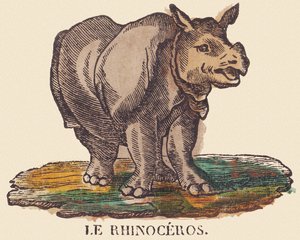 The rhinoceros, c.1840-1852 by Jean Baptiste Thiebault