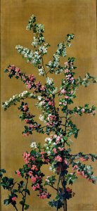 Japanese Cherry Tree and Hawthorn Branches
