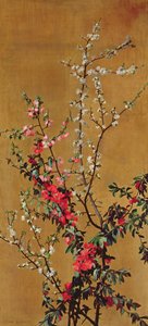 Japanese Cherry Tree and Hawthorn Branches