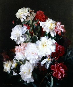 Still Life of Flowers