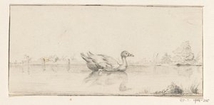 Duck in the Water by Jean Bernard