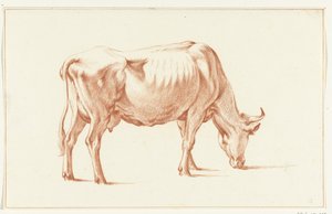 Grazing Cow, Facing Right