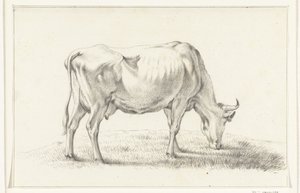 Grazing Cow, Facing Right by Jean Bernard