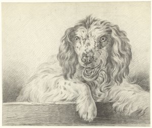 Dog by Jean Bernard