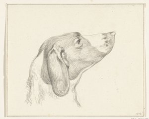 Head of a Dog, Facing Right by Jean Bernard