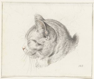 Head of a Cat, Facing Left