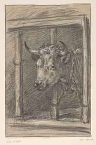 Head of a Cow, through the Bars of a Stable by Jean Bernard