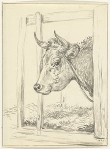 Head of a Cow in a Stable, Facing Left by Jean Bernard