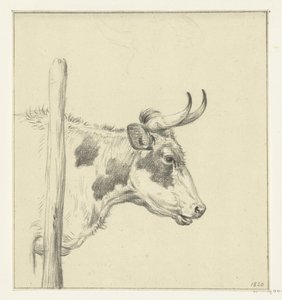 Head of a Cow, Facing Right by Jean Bernard