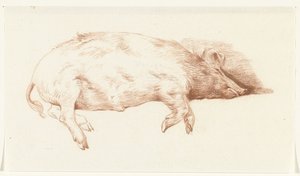 Lying Pig, Facing Right