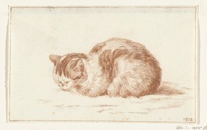 Lying Cat, Facing Left