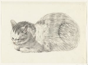 Lying Cat, Facing Left