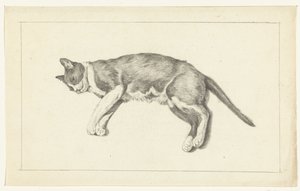 Lying Cat, Facing Left, Seen from Above