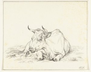 Lying cow, from the front by Jean Bernard