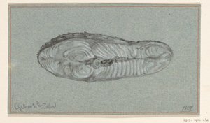 Piece of Cooked Salmon by Jean Bernard