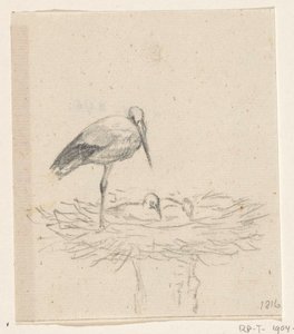 Stork on Nest by Jean Bernard