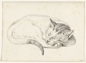 Rolled Up Sleeping Cat